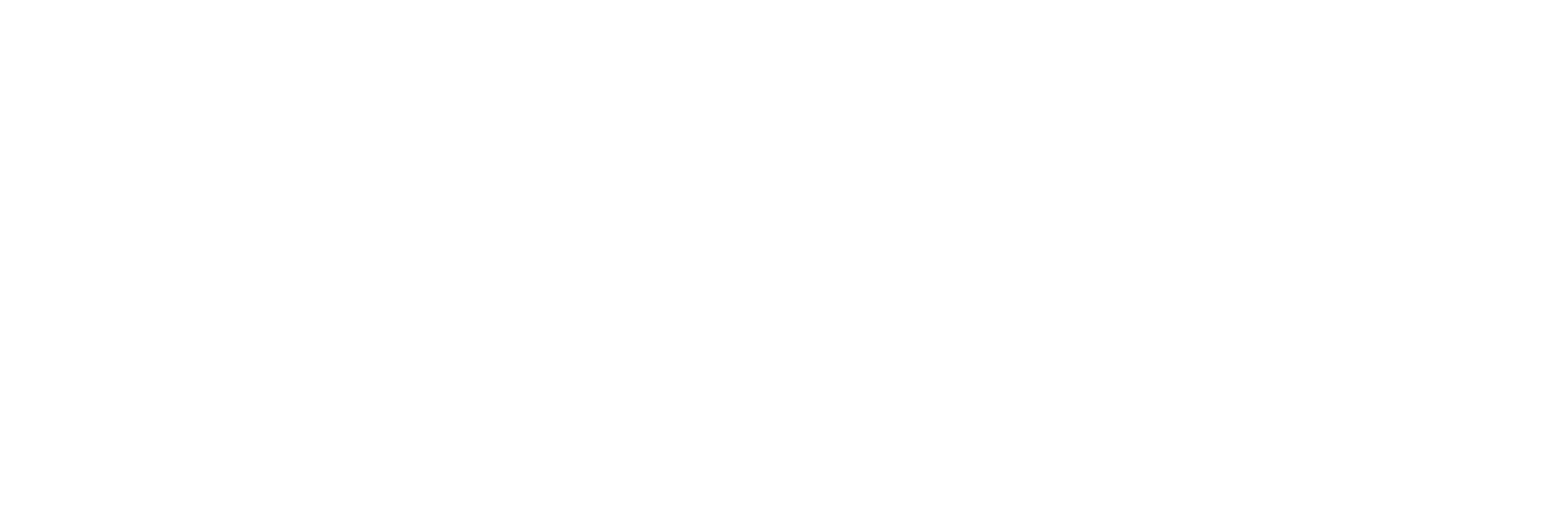 Social Story Logo